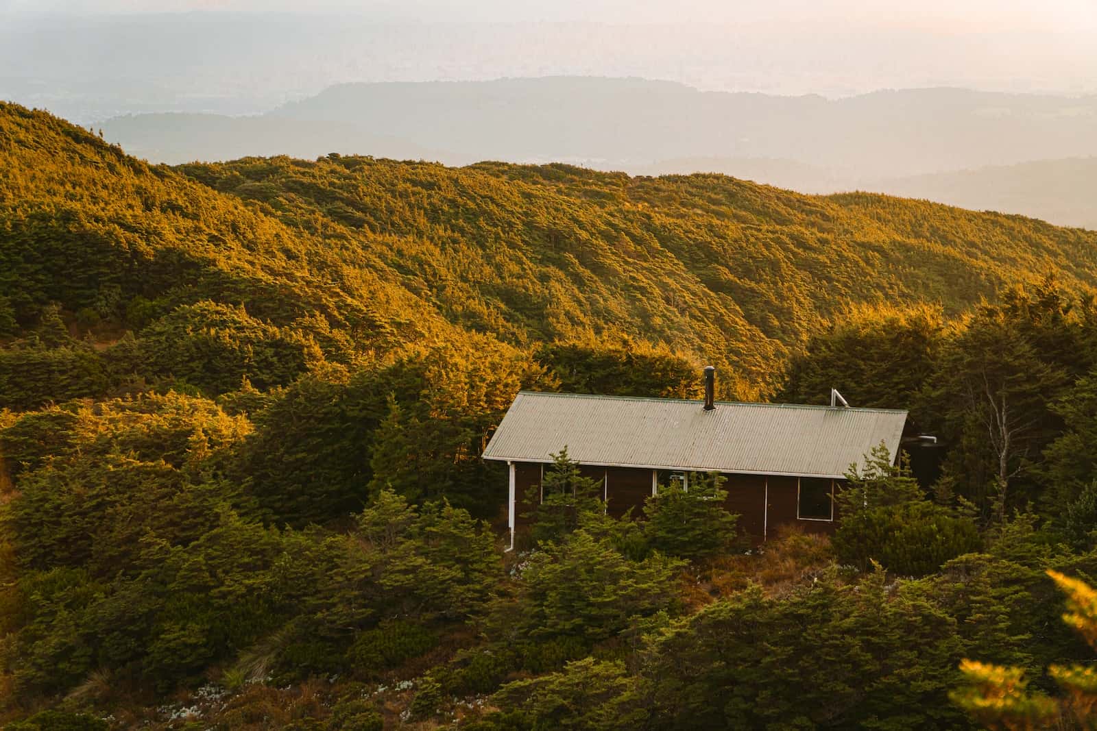 a small cabin nestled in the middle of a forest